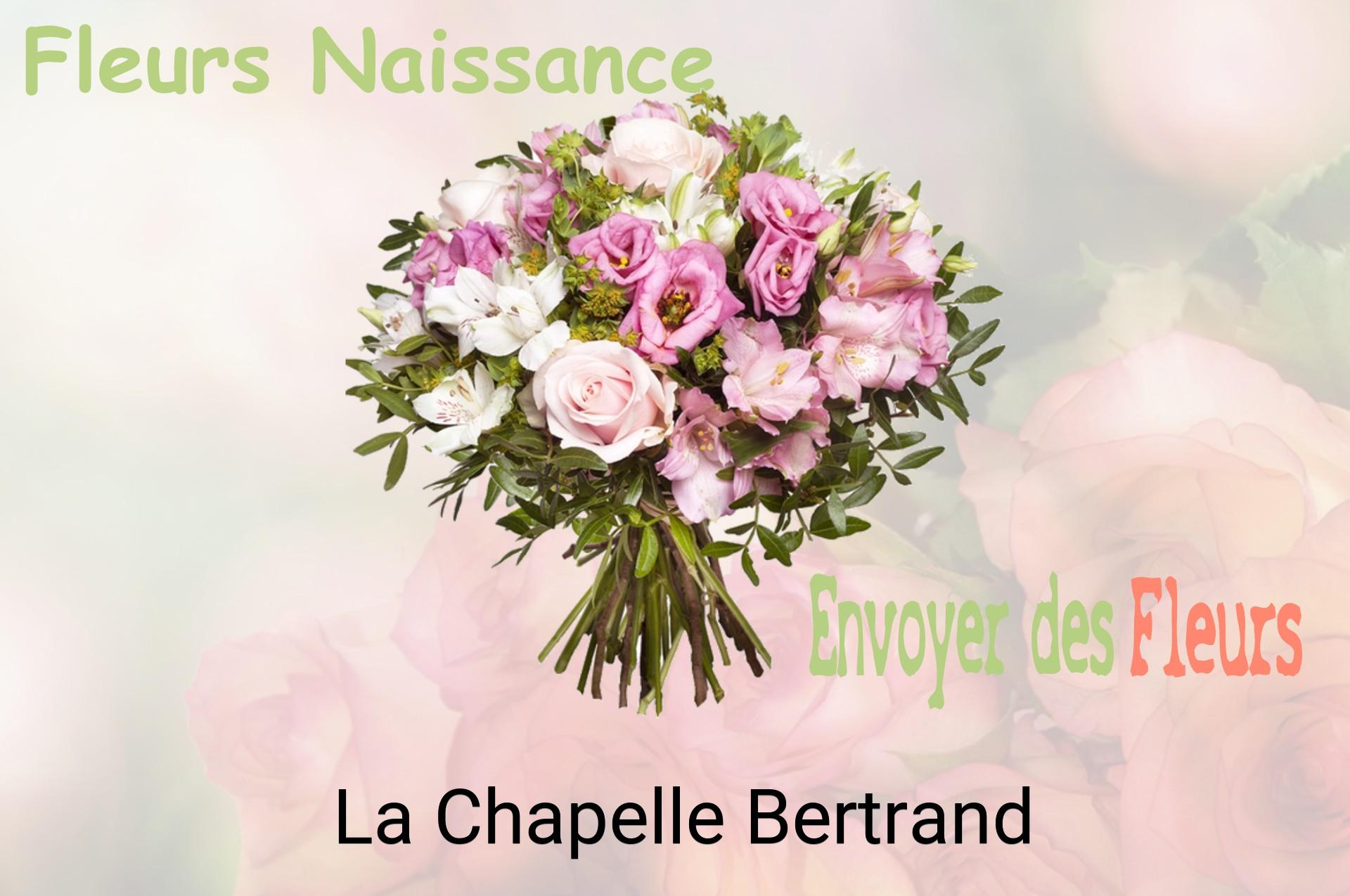 Bouquet de fleurs de naissance livré à La Chapelle-Bertrand
